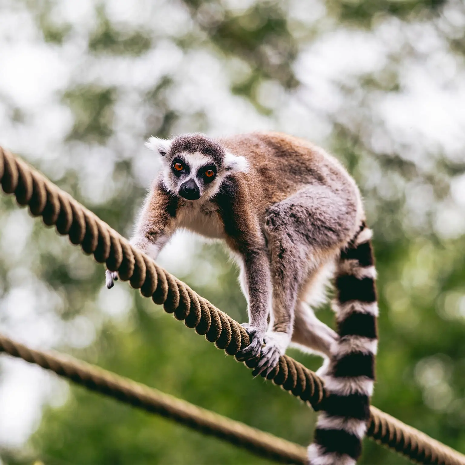 budgie-studio-photographe-mouscron-lille-02