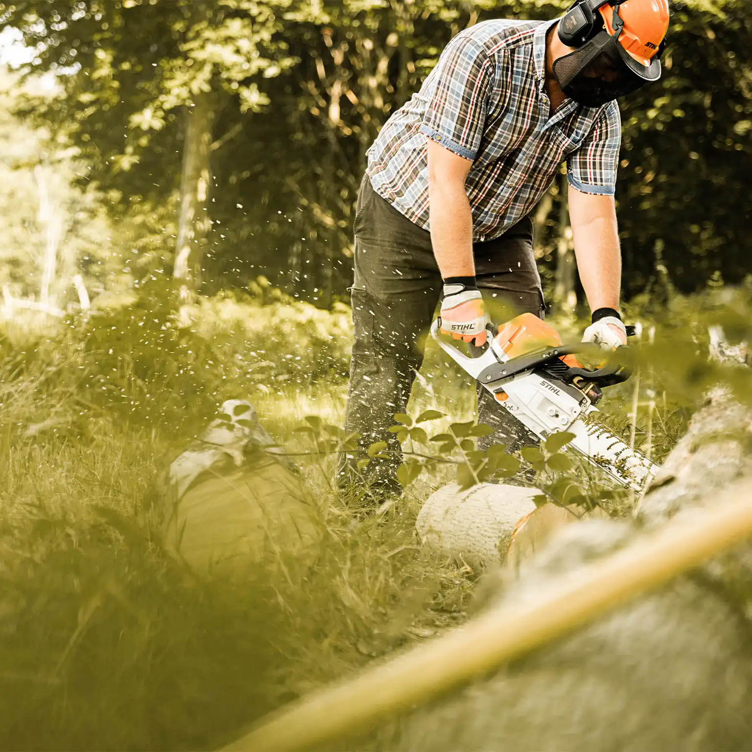 budgie-studio-photographe-mouscron-lille-09